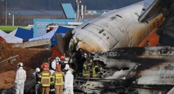 Jeju Air Crash, Bird Strike Suspected