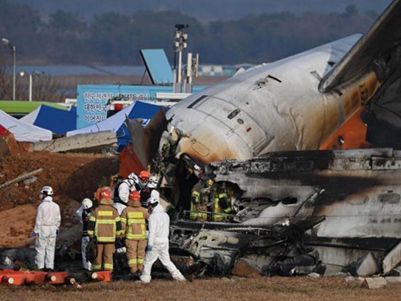 Jeju Air Crash