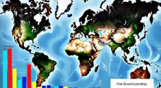 Global Social Crisis