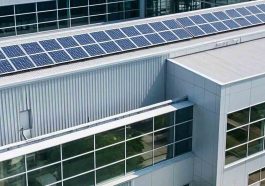 Green Business Revolution