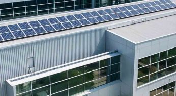 Green Business Revolution: The Rise of Sustainability