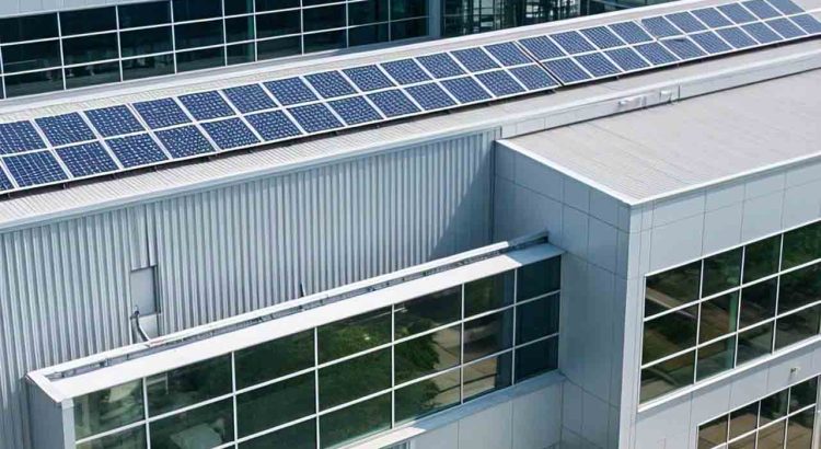 Green Business Revolution